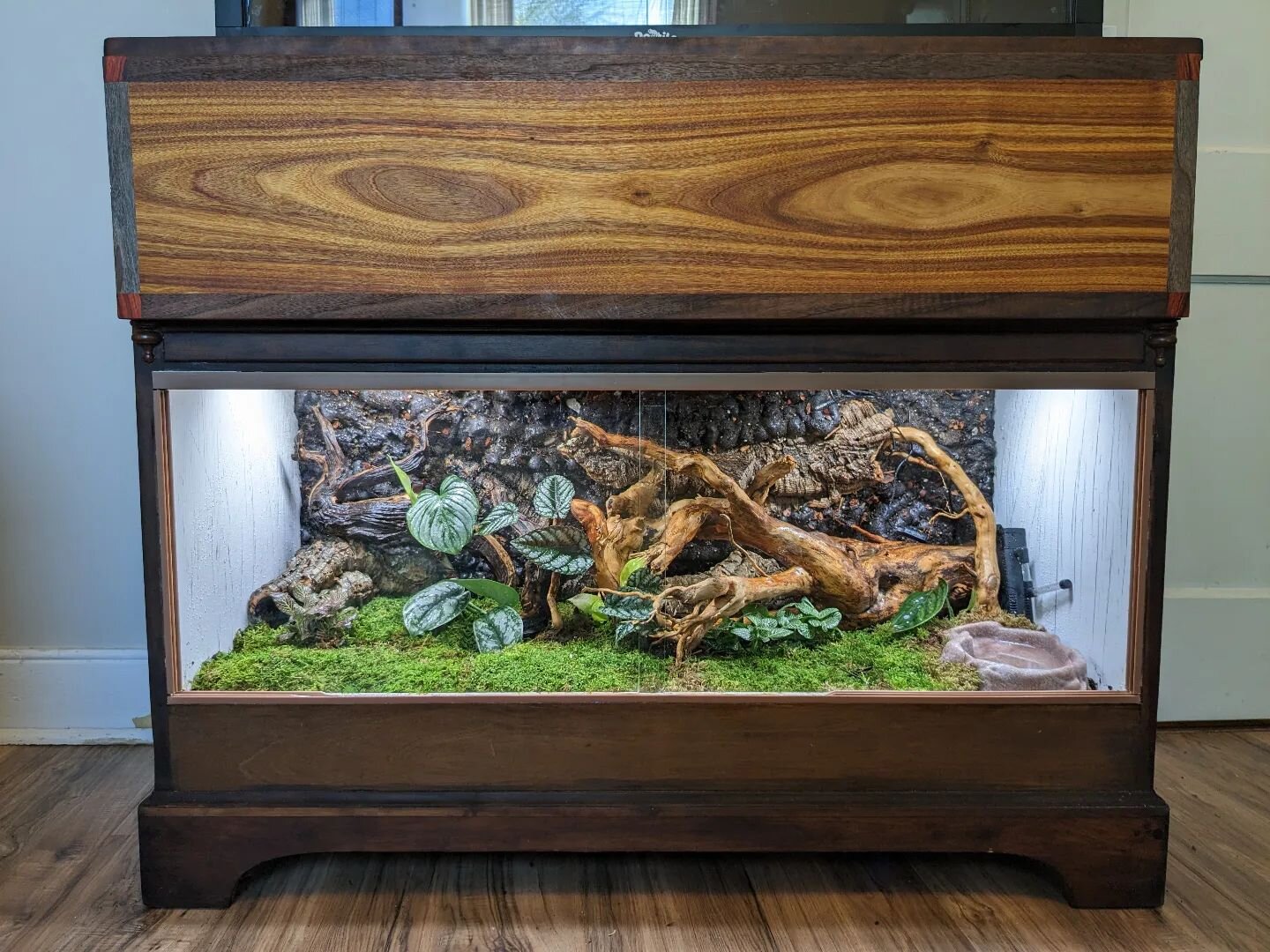 I got the tank all set up for Mazzarot and it turned out so much better than I even expected 😍
.
.
.
#hurricanewoodwork #needitbuildit #customtank #customenclosure #customsnaketank #customsnakeenclosure #finefurniture #reptileenclosure