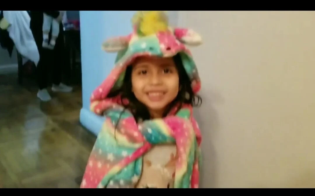 THE UNICORN CHRONICLES