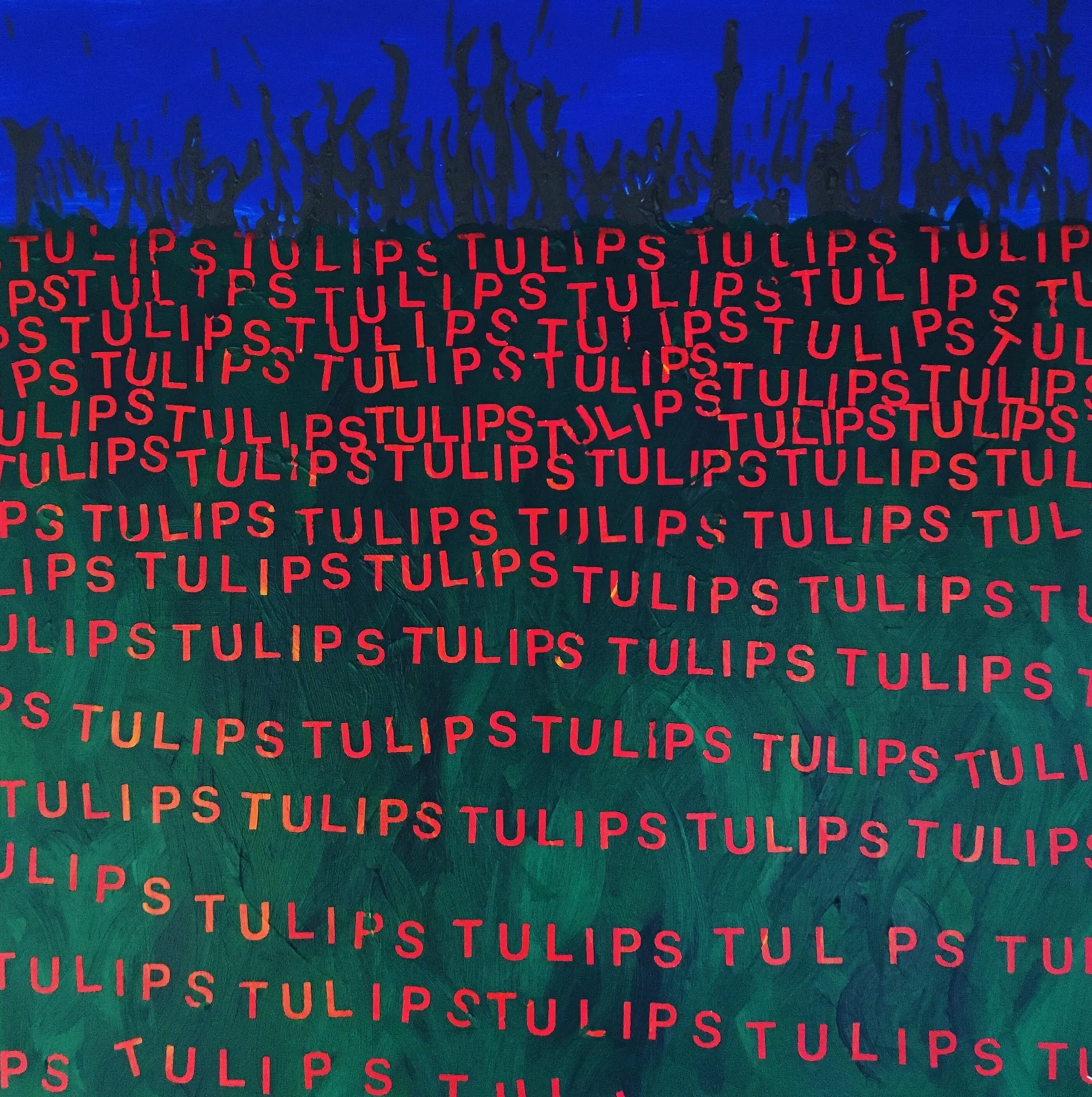 tulips, 2019
