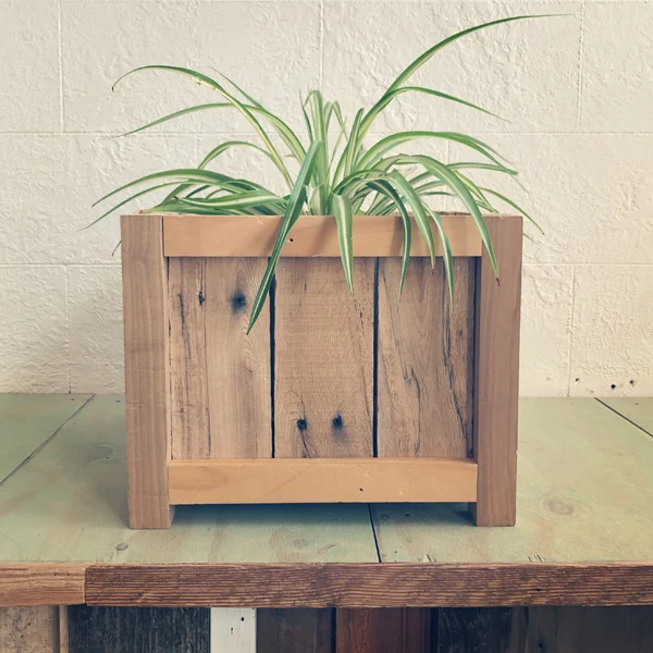 Wood Planter Box