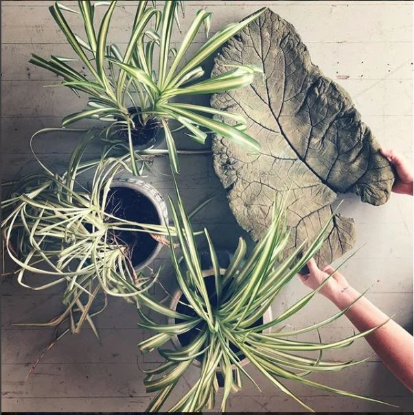 Cast Concrete Bird Bath