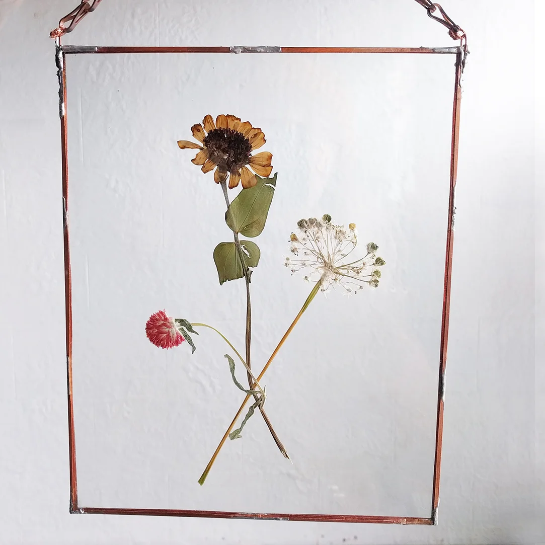 Soldered Specimen Frame