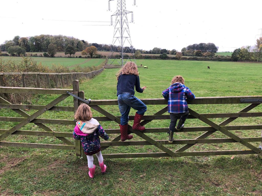 WhatsApp Image 2018-10-13 at 07.50.16.jpeg