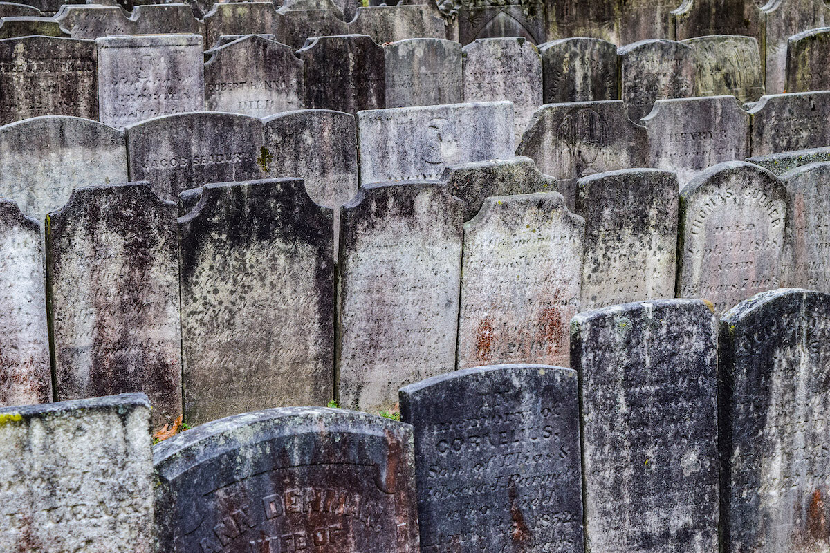 Rows of Graves 