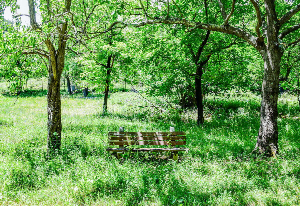 Bench
