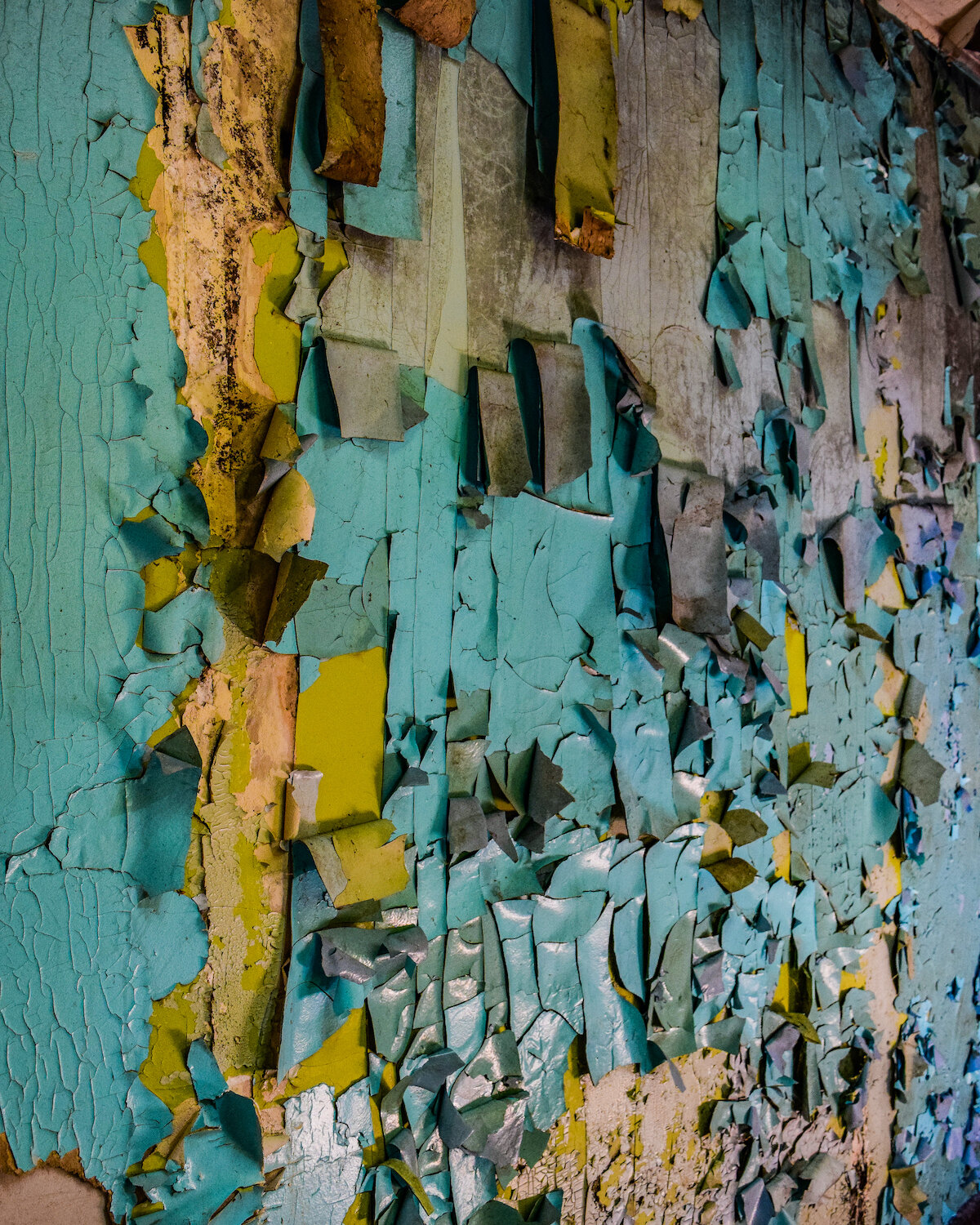 Blue and Yellow Paint