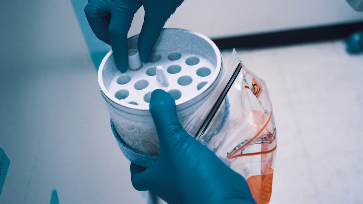 Ziopharm - Membrane-bound IL-15