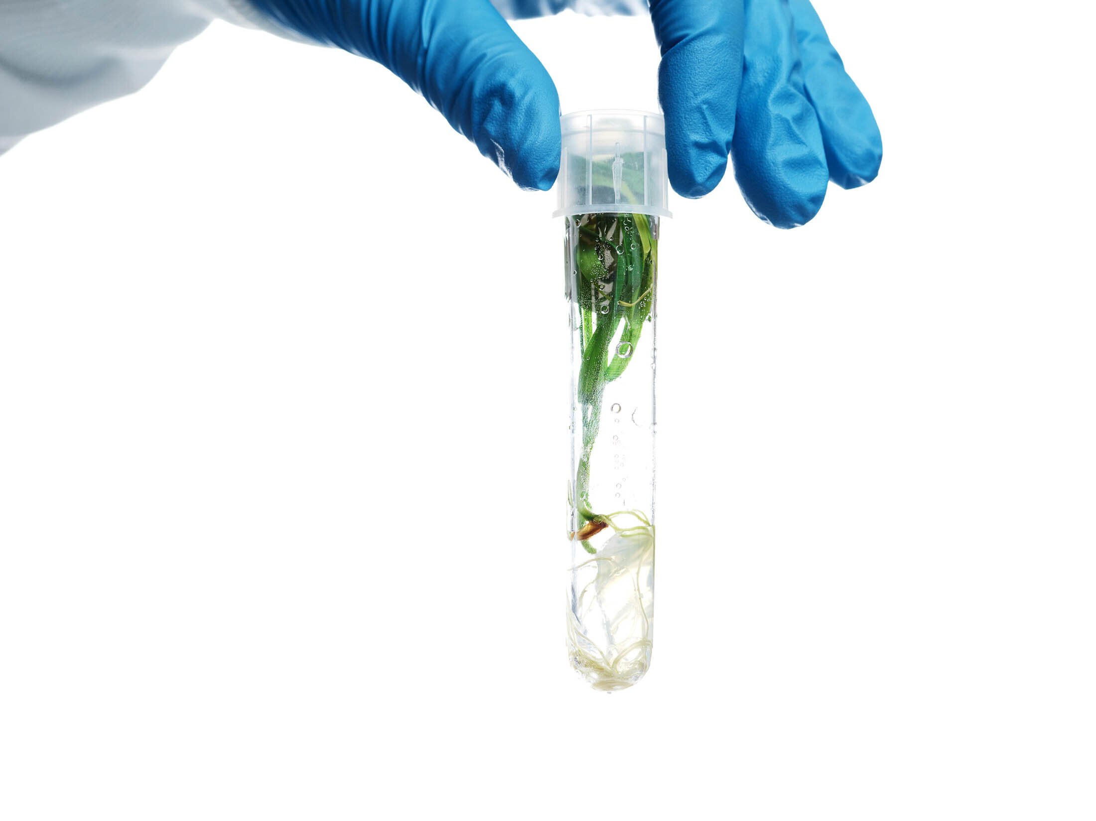 |biotech