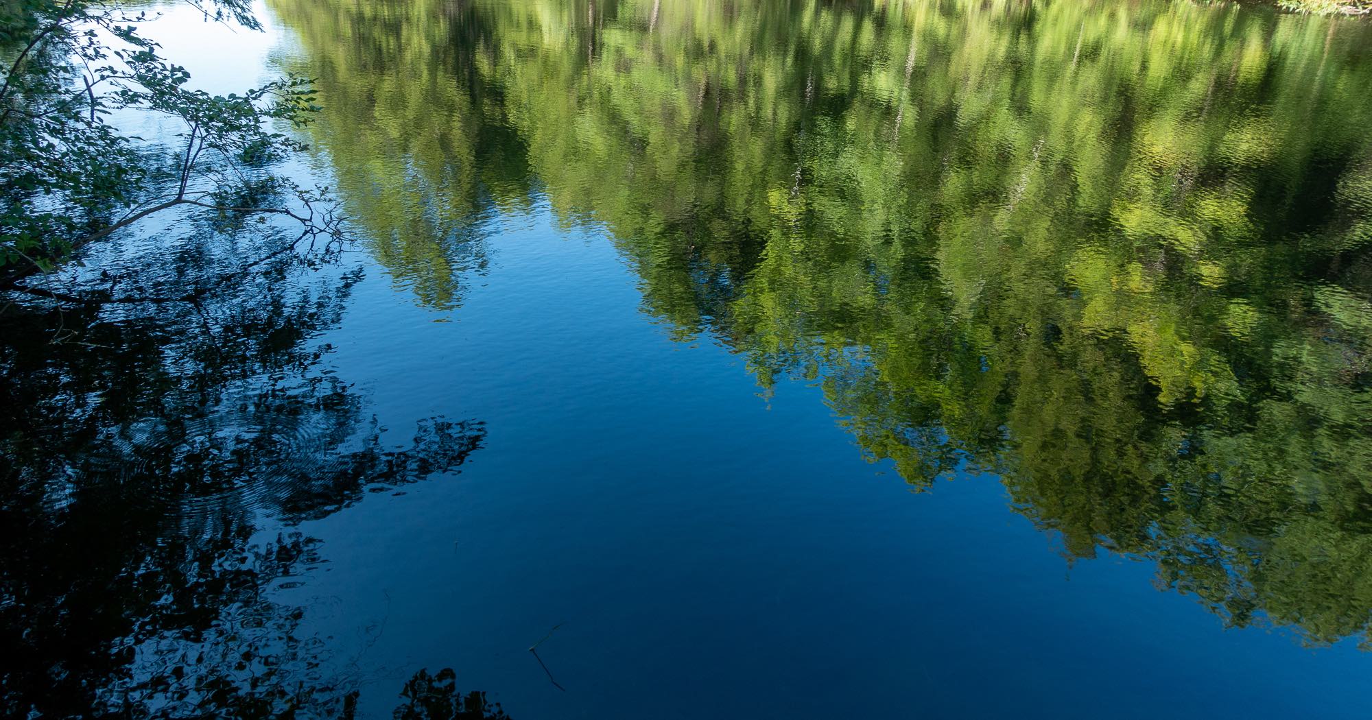 Water by Skatutakee Dam-Photo by Michelle Aldredge.jpg