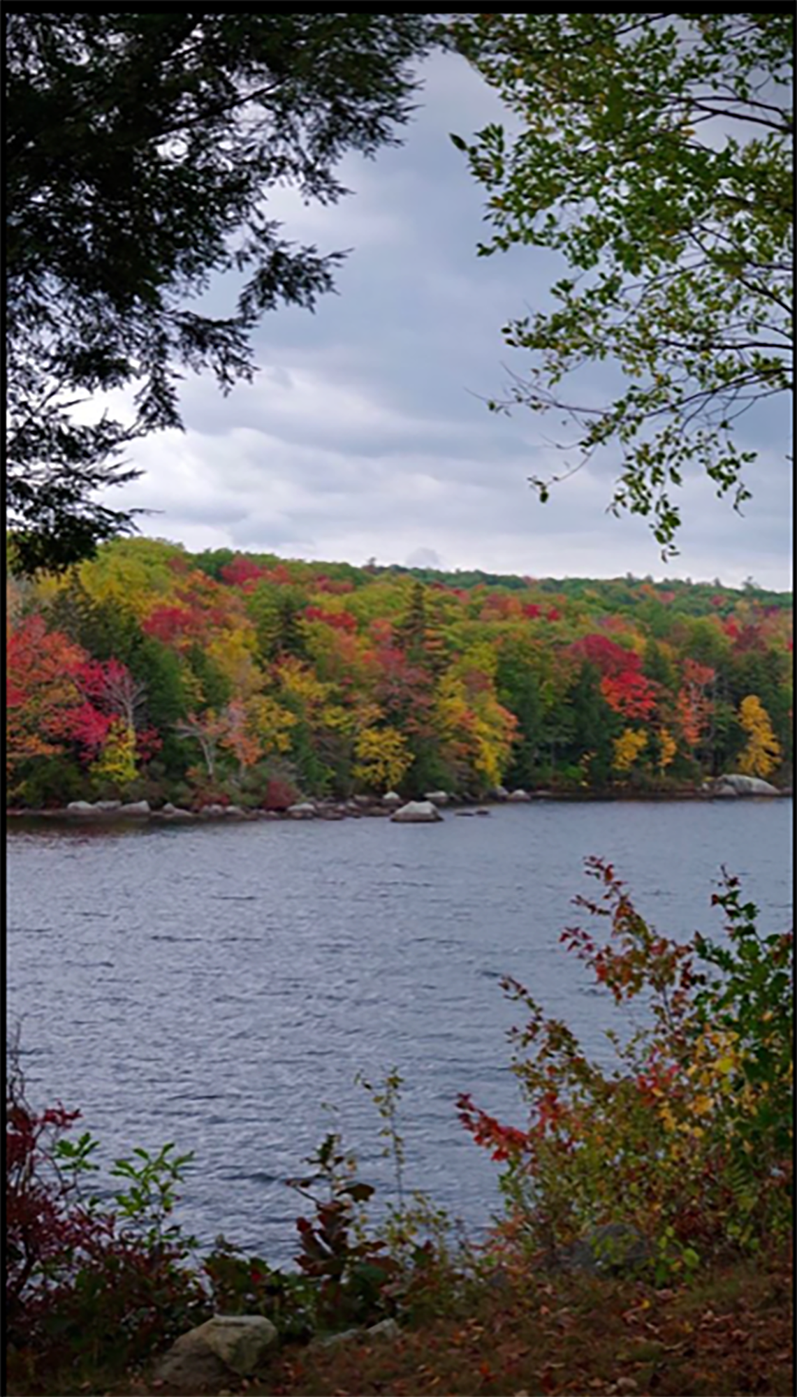Autumn, Cathy Lovas, 2021