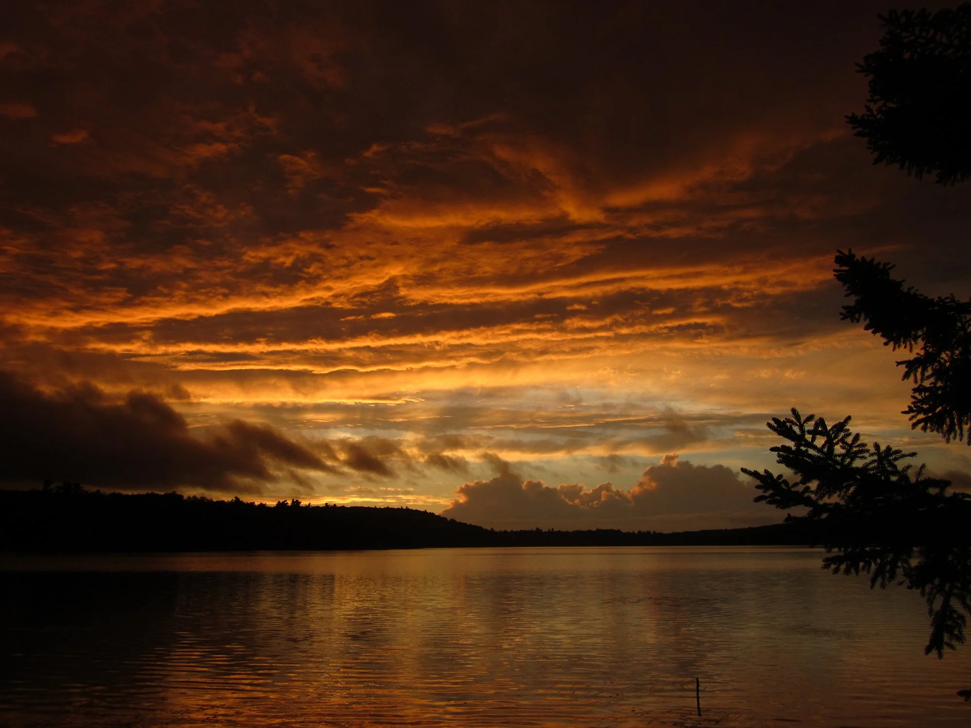 Sunrise, Margie Ward, 2015