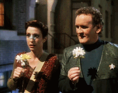giphy (4).gif