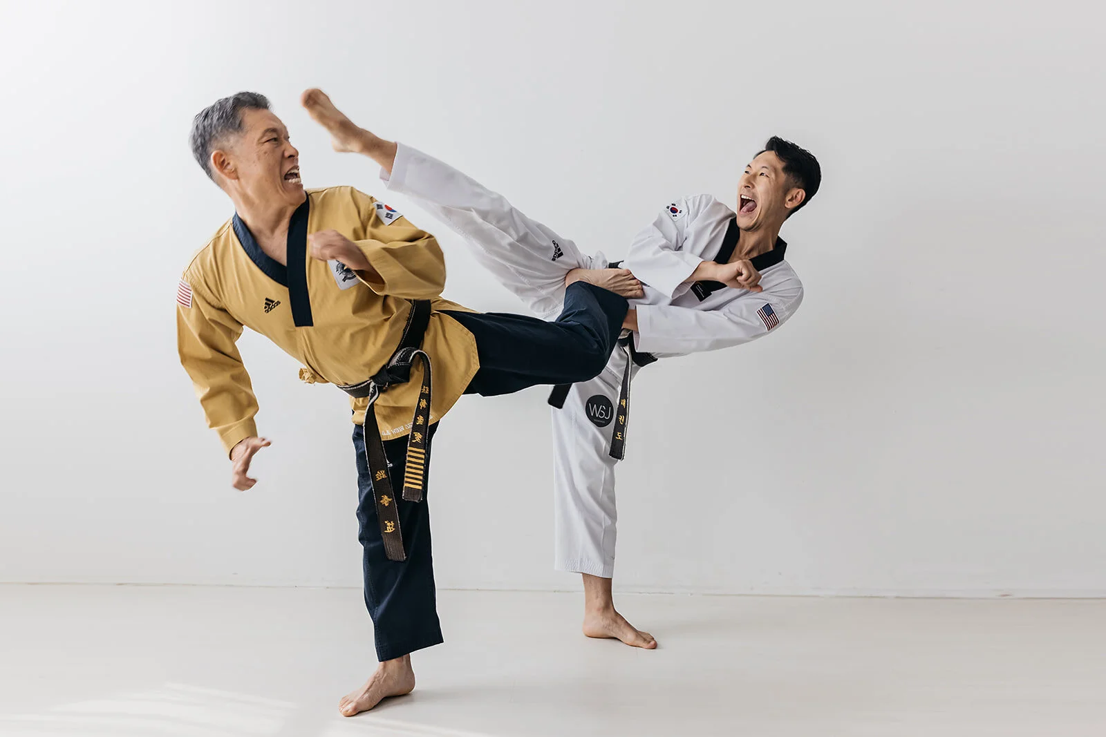 Masters — Martial Arts in Yorktown, Bedford Hills, Mt Kisco & Somers