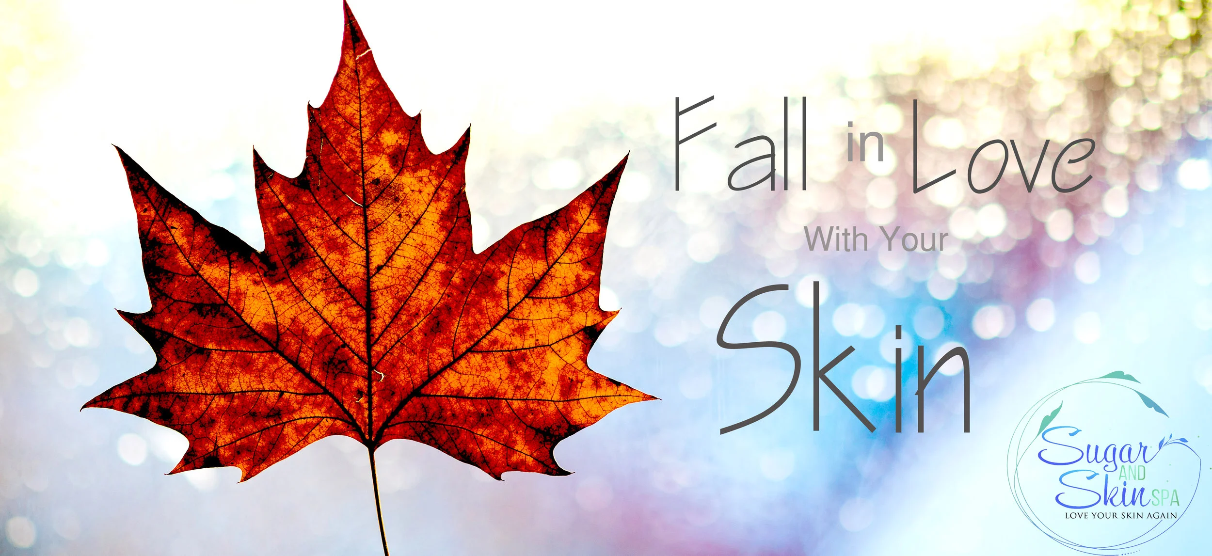 FALL_SPARKLE_sugar_and_skin_spa_CutOff.jpg