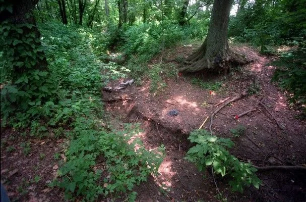 Robin Hood Hills.