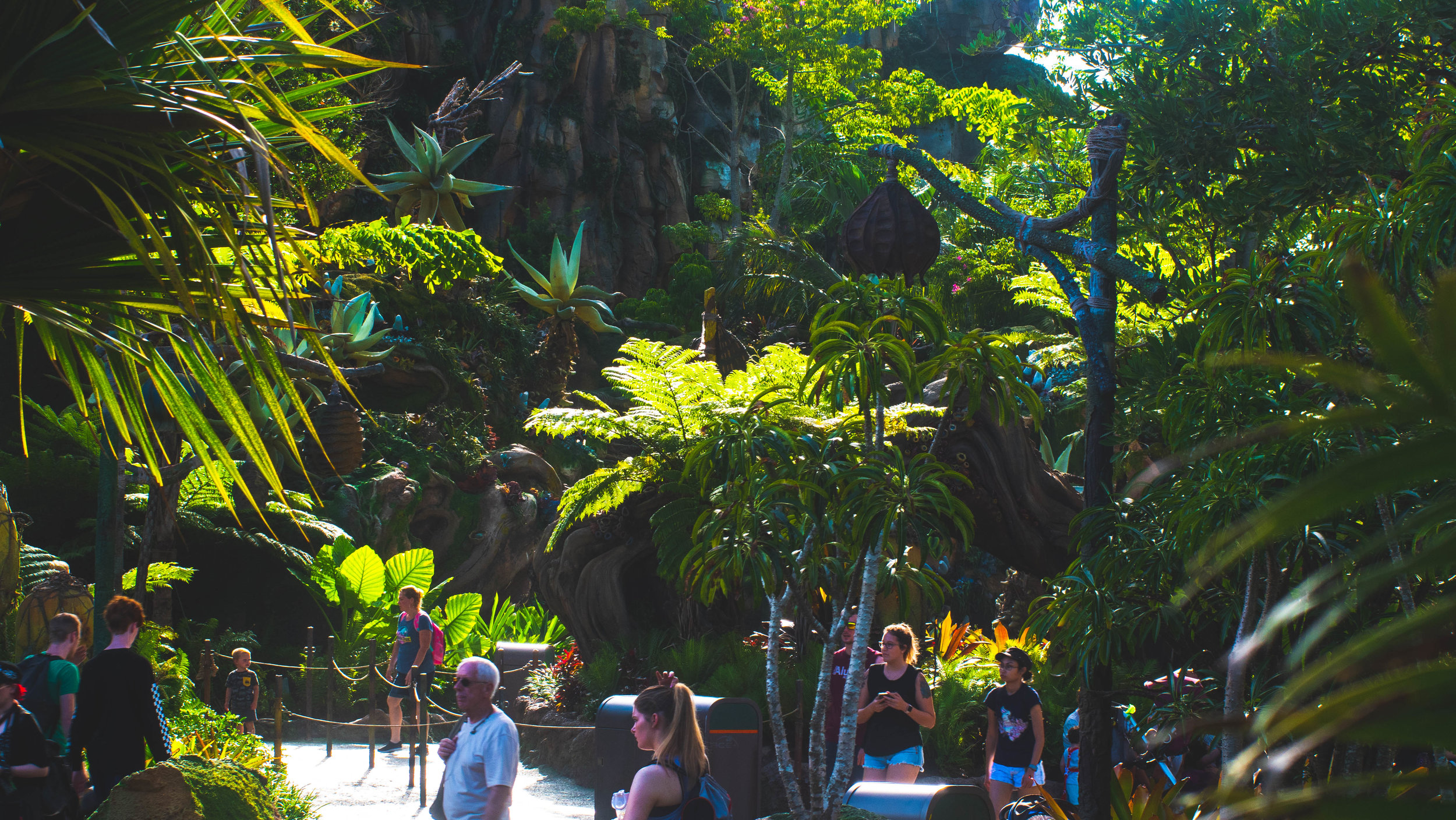 Disney World Dowling At The Moon