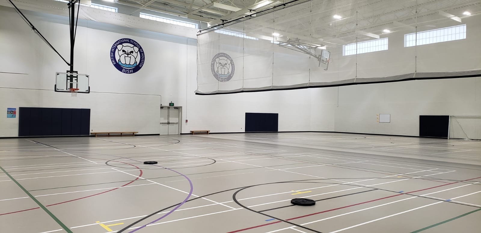 A Little Badminton Never Hurt Anyone