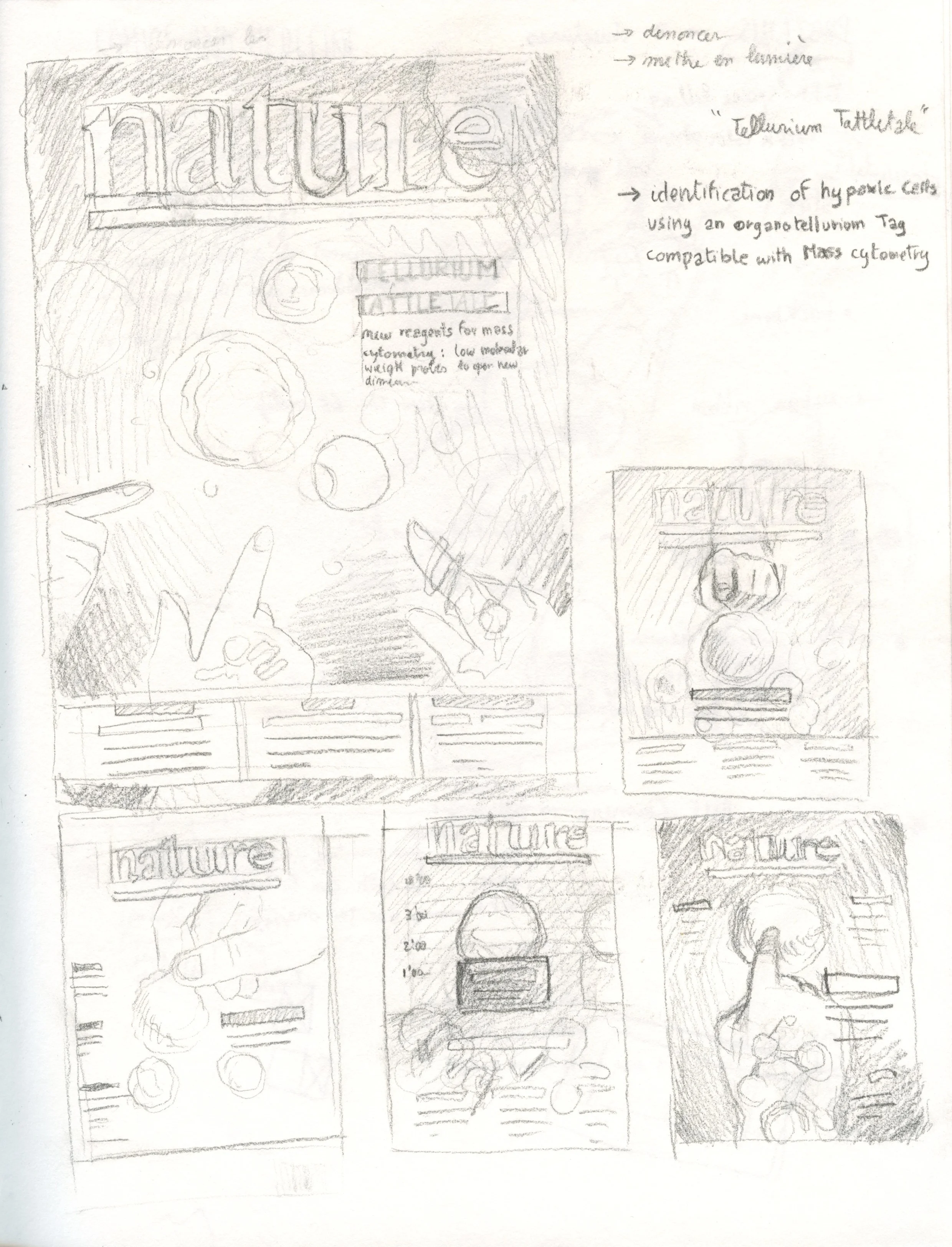 Scan 1.jpeg