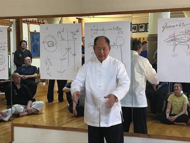  Master Yang’s 2019 Seminar in Western Mss 