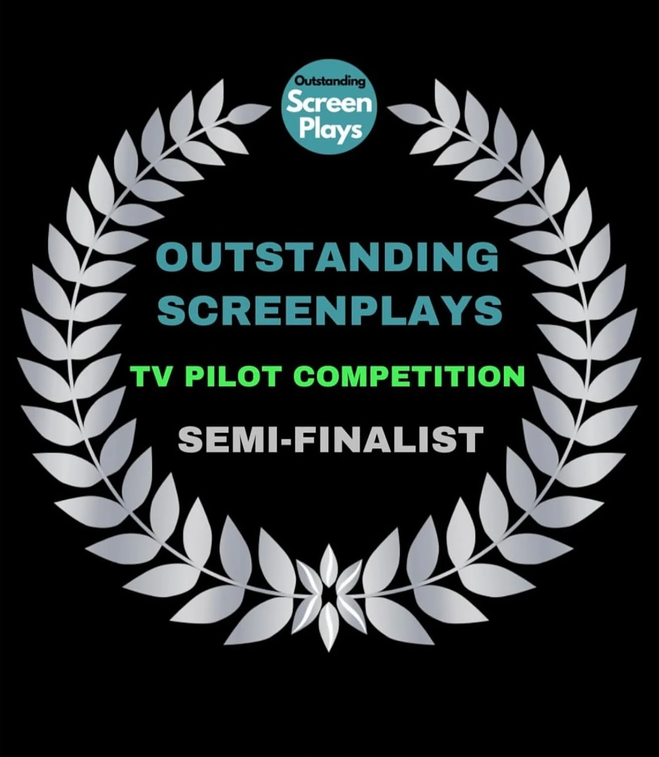 So thrilled to announce that my comedy pilot The Struggler has been selected as a Semi-Finalist in @outstanding.screenplays TV Pilot competition! 

This story is so special to me and I can&rsquo;t wait to share it with y&rsquo;all 🥰
