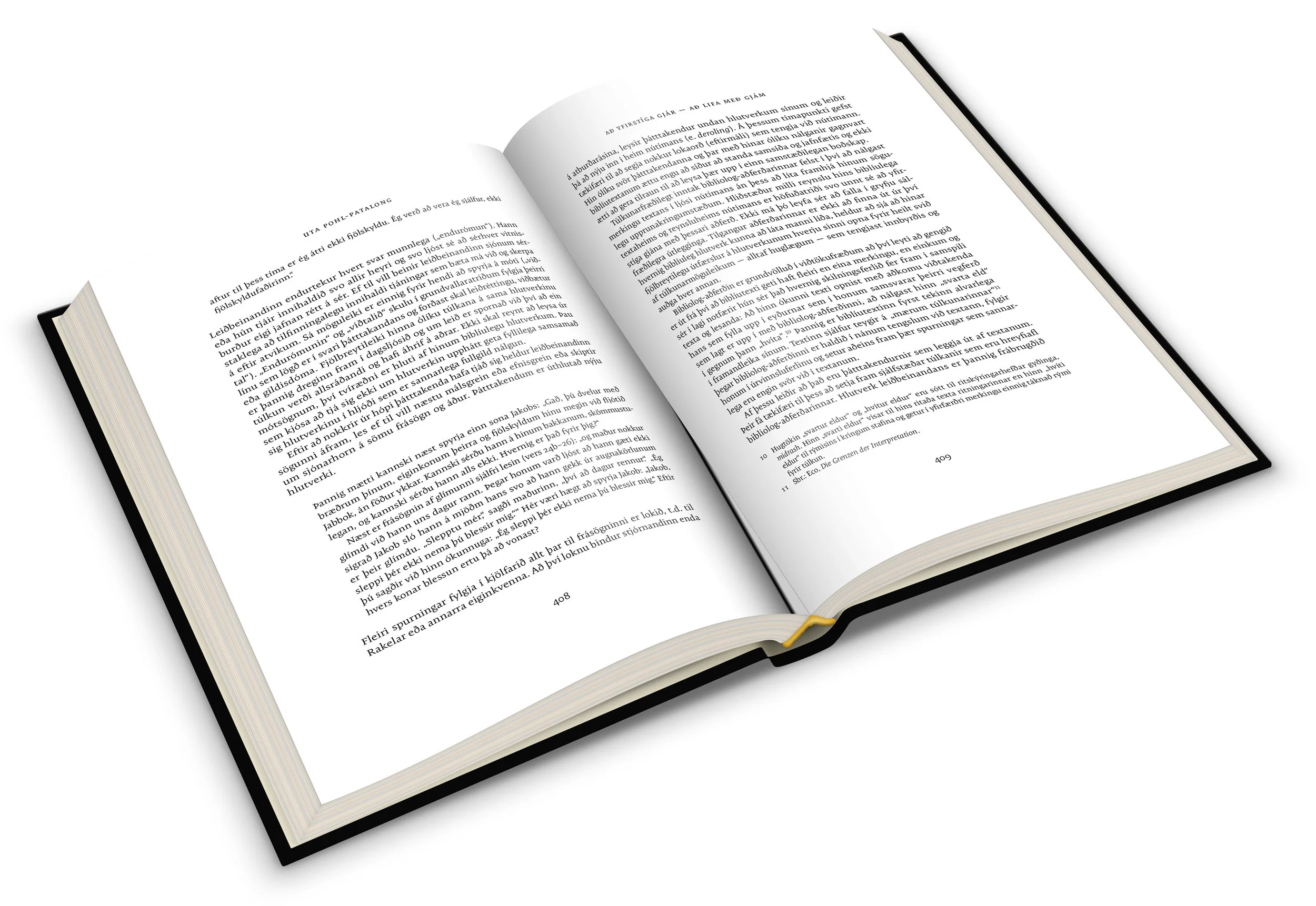 sigurjonsbok_mockup_spread.jpg