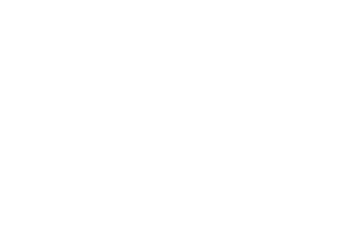 Anon Global