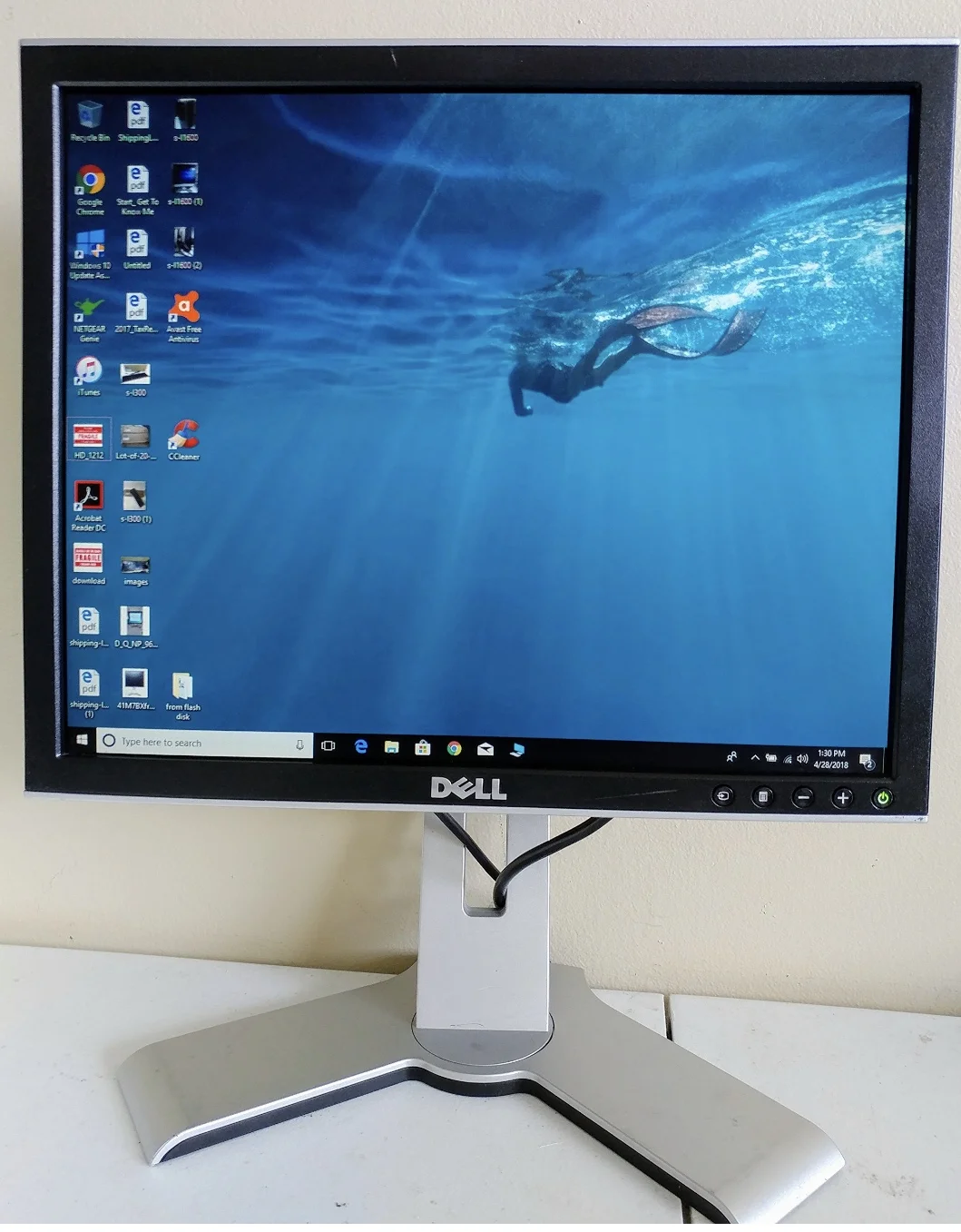 What the fuck is a nit anyway? 