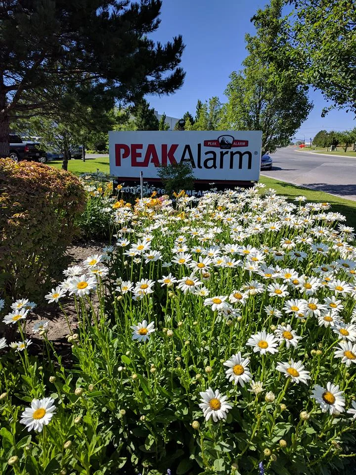 flowers.jpg