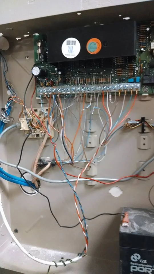 reisiters in panel.jpg