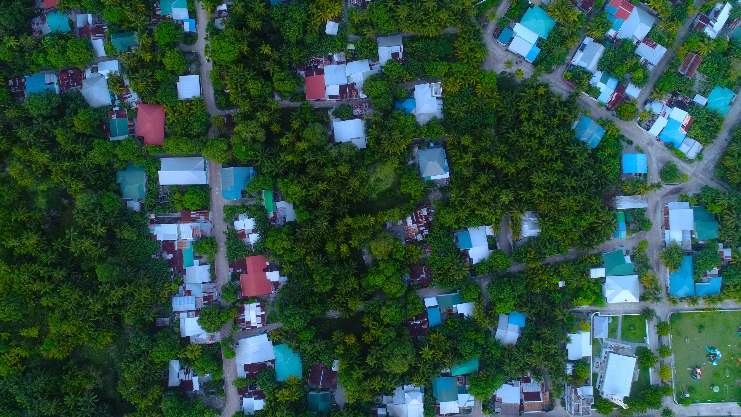 What is the SAFE Neighborhood program?