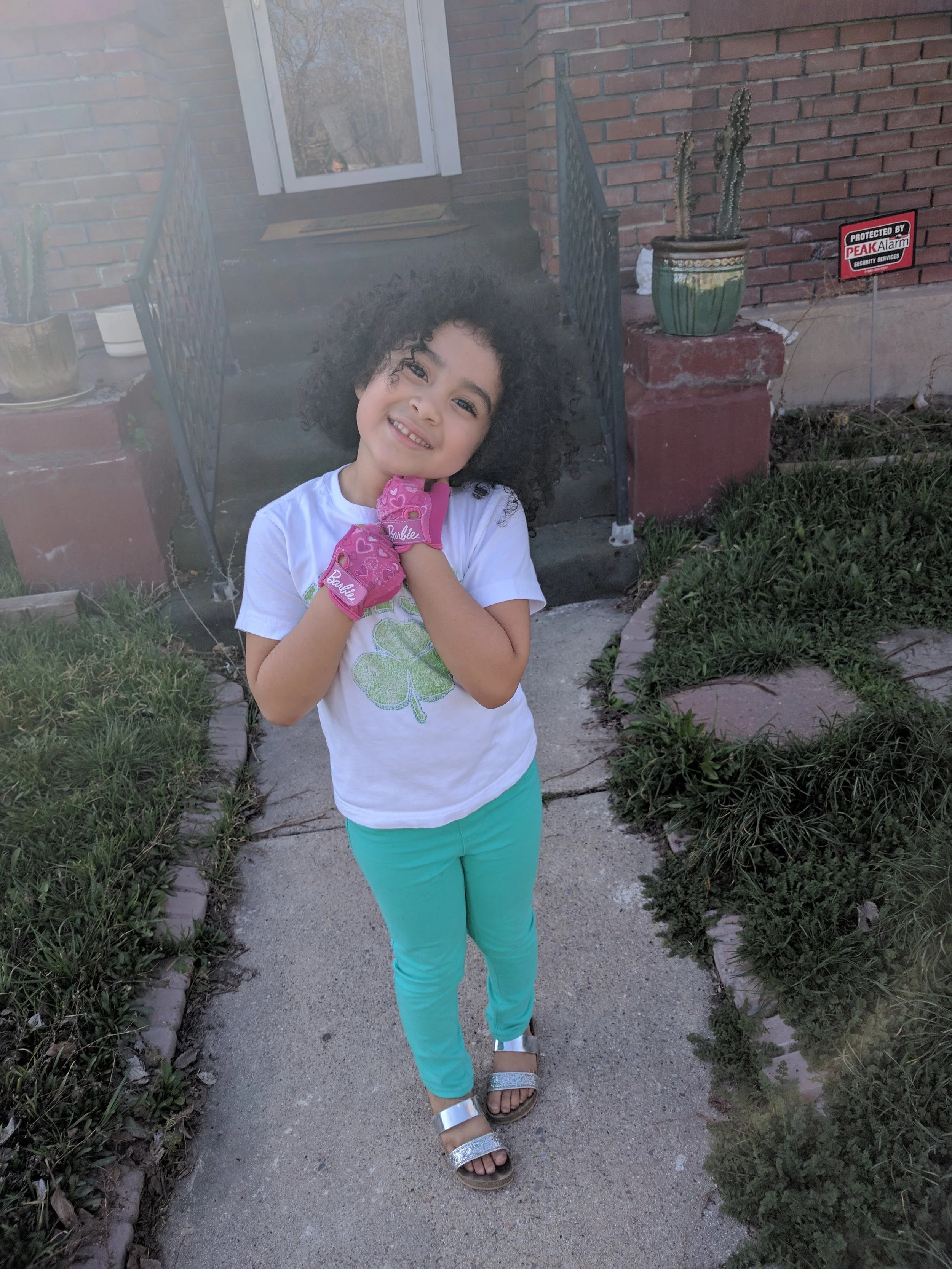 Remote features of your security system