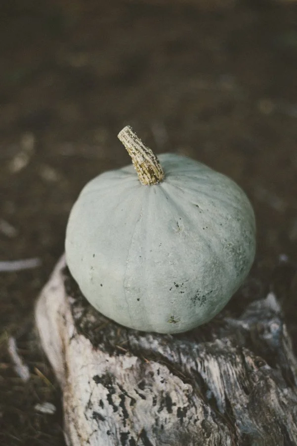 October 2026 Clinical Supervision Topic: Self+Compassion after Complex Trauma