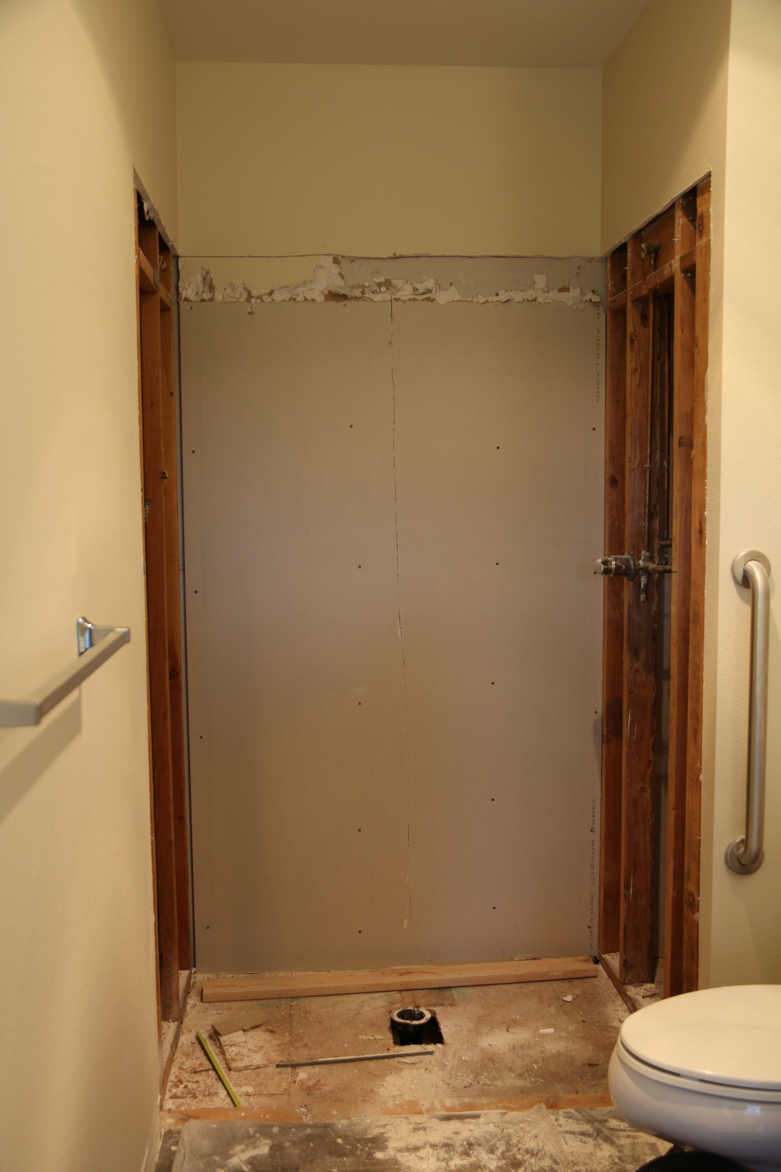 Shower Renovation (Before)