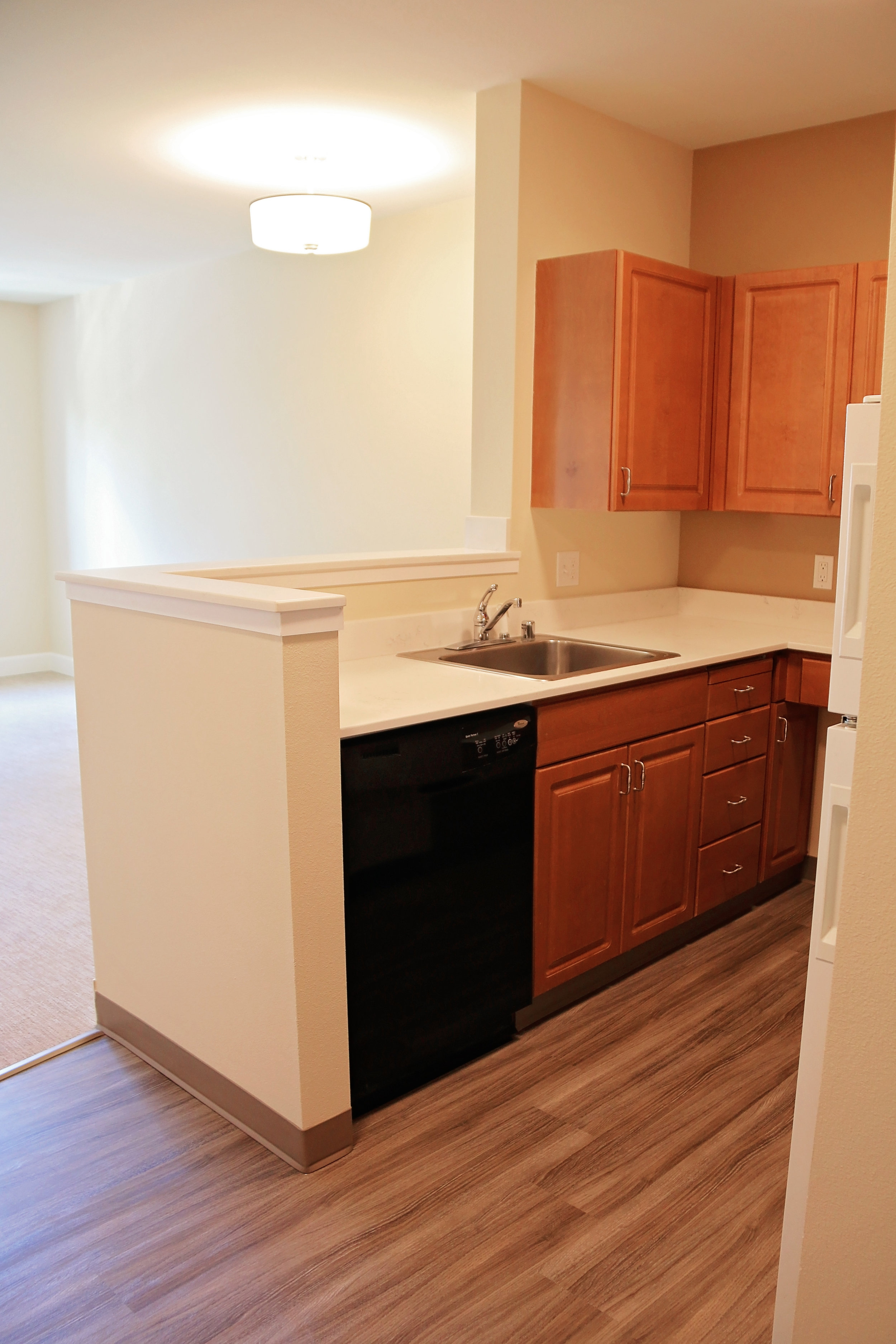 Interior Paint, Flooring & Baseboards