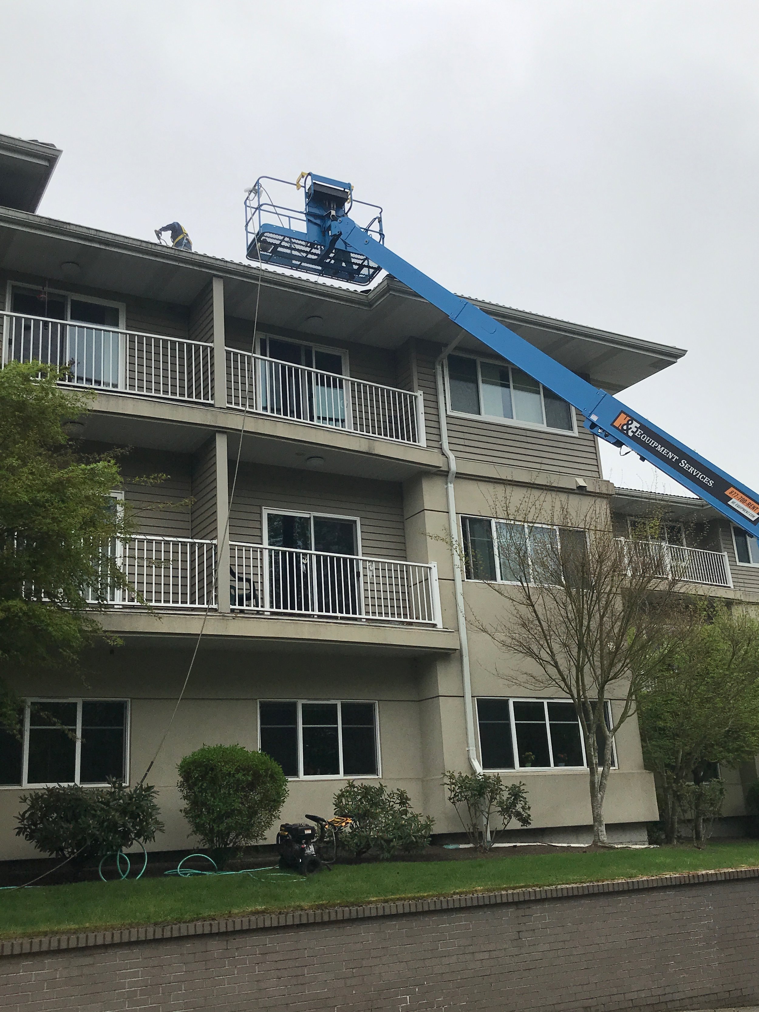 Roof & Gutter Cleaning