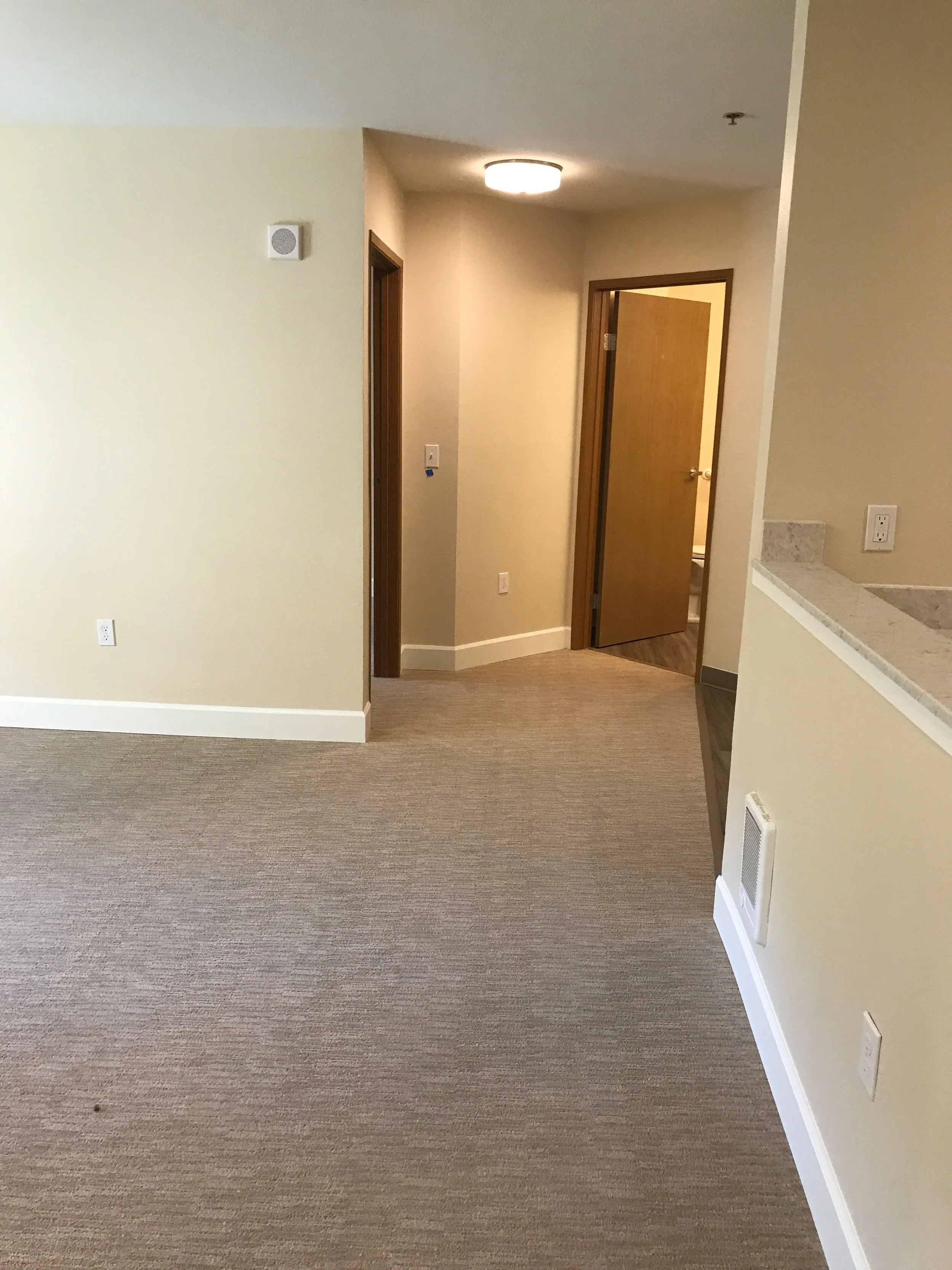 Interior Paint, Carpet &amp; Baseboards