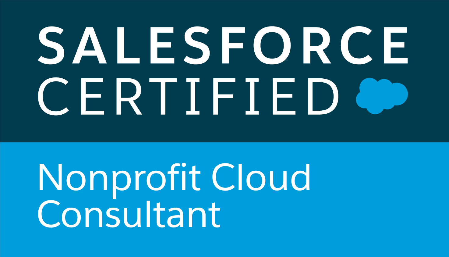 Nonprofit-Cloud-Consultant_RGB.png