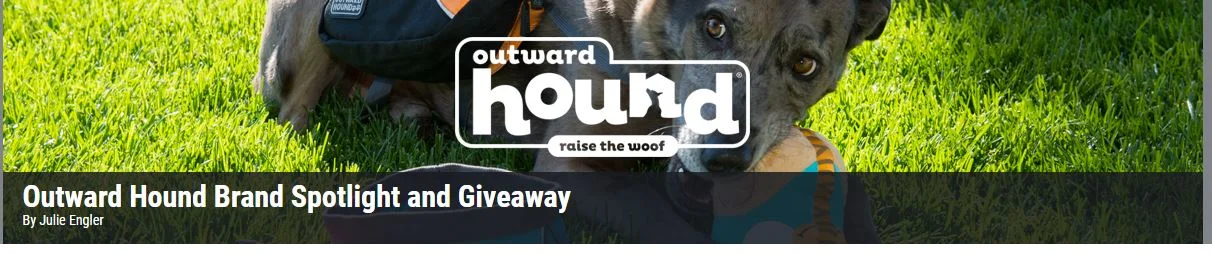 Blog Post: Outward Hound