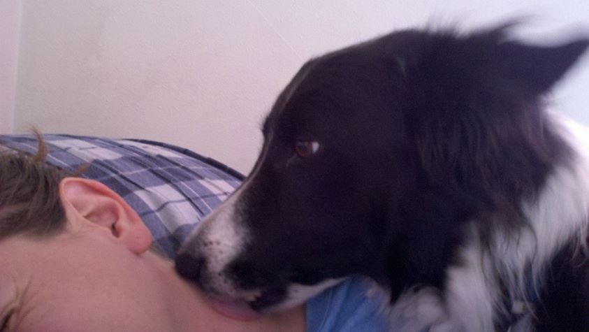 Ode to a good dog