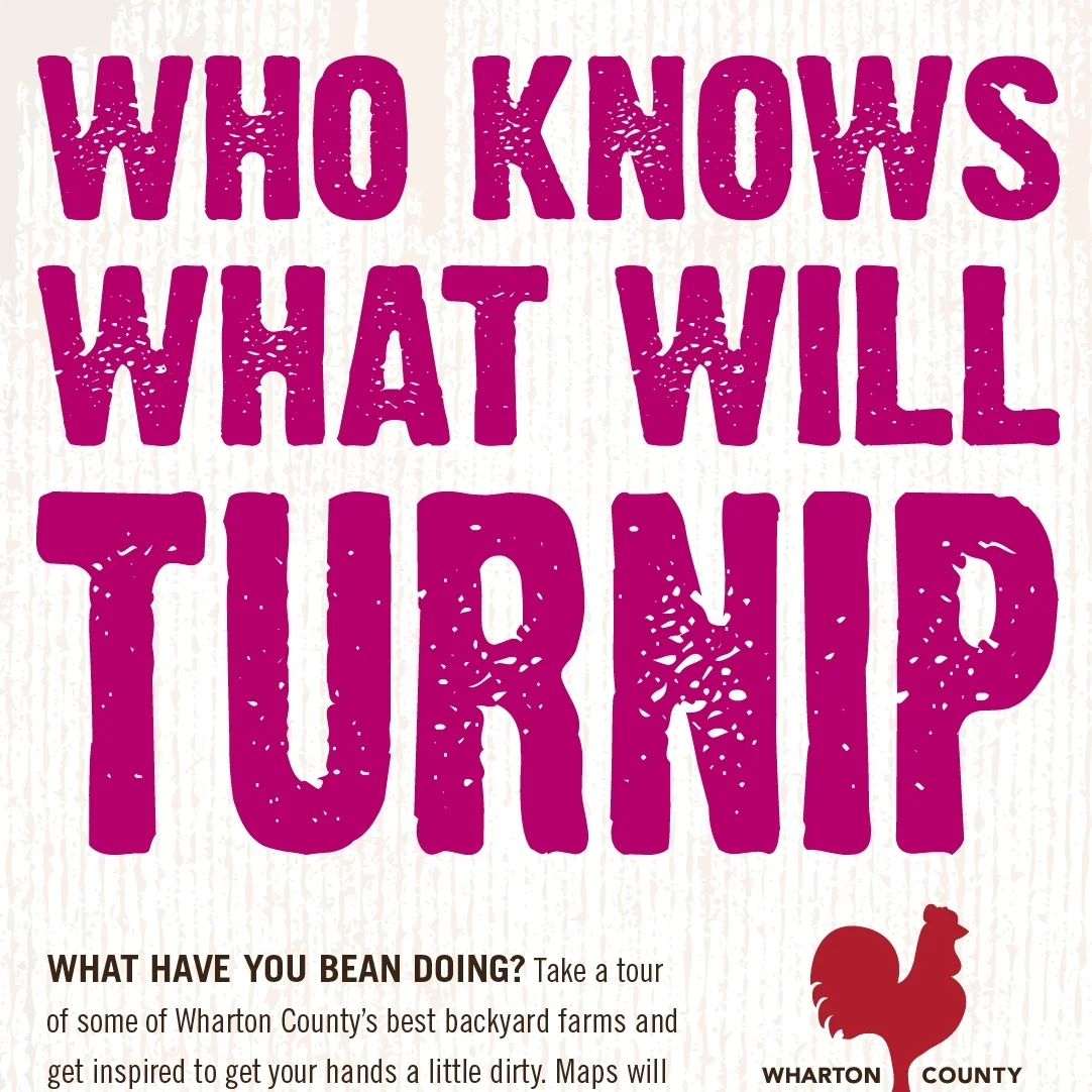 turnip_ad.jpg