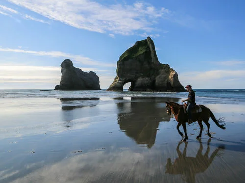 Wharariki Beach?