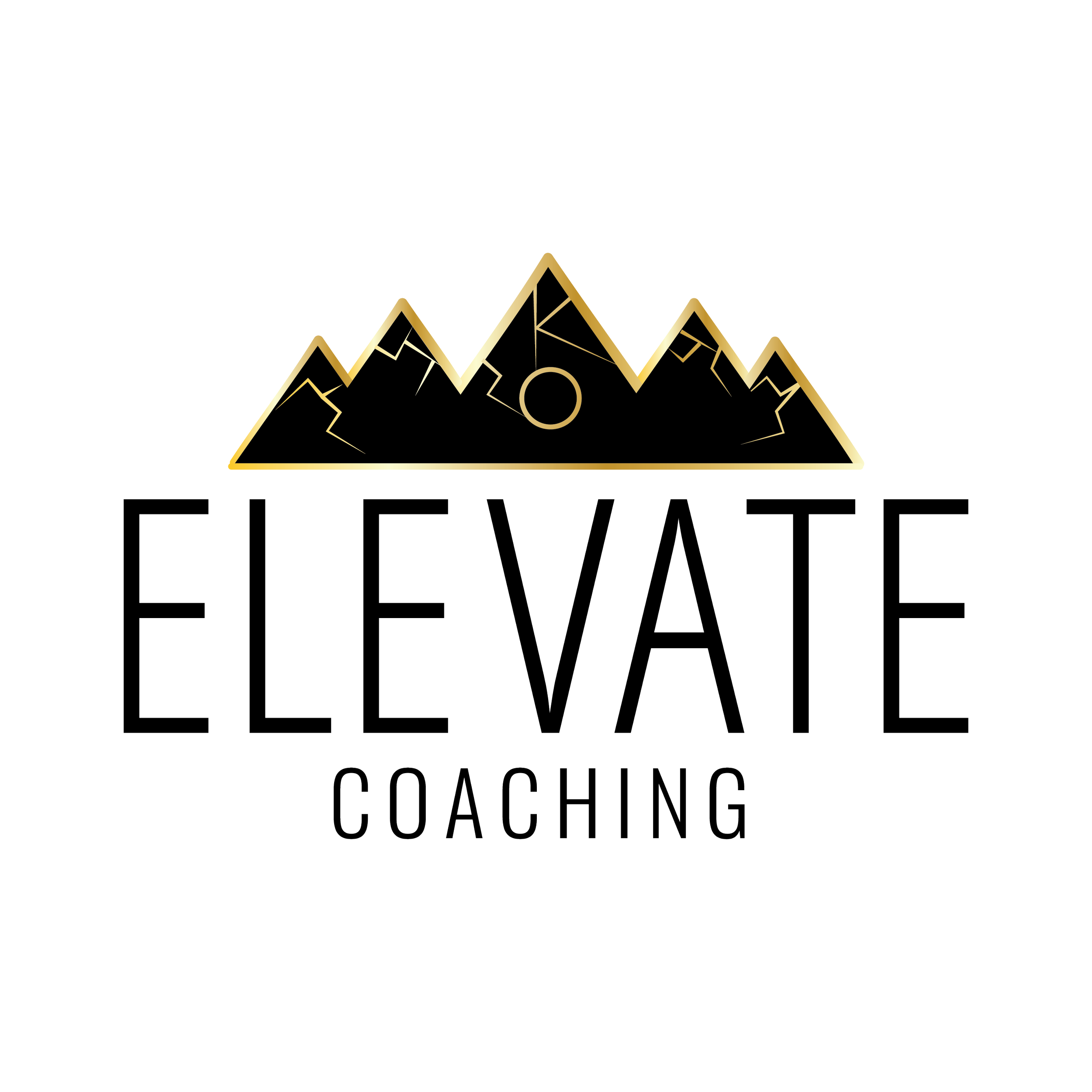 Elevate_MainLogo_Color.png