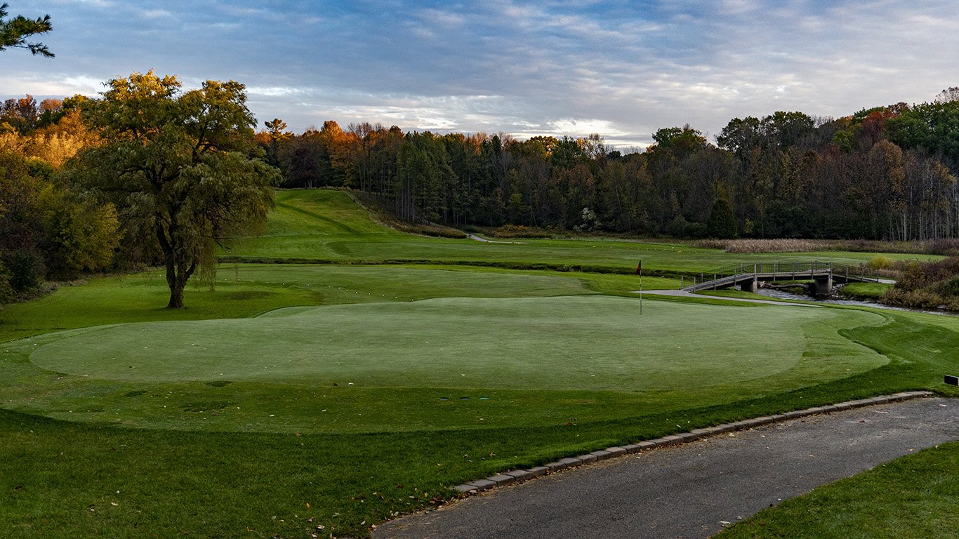 17-green-behind.jpg