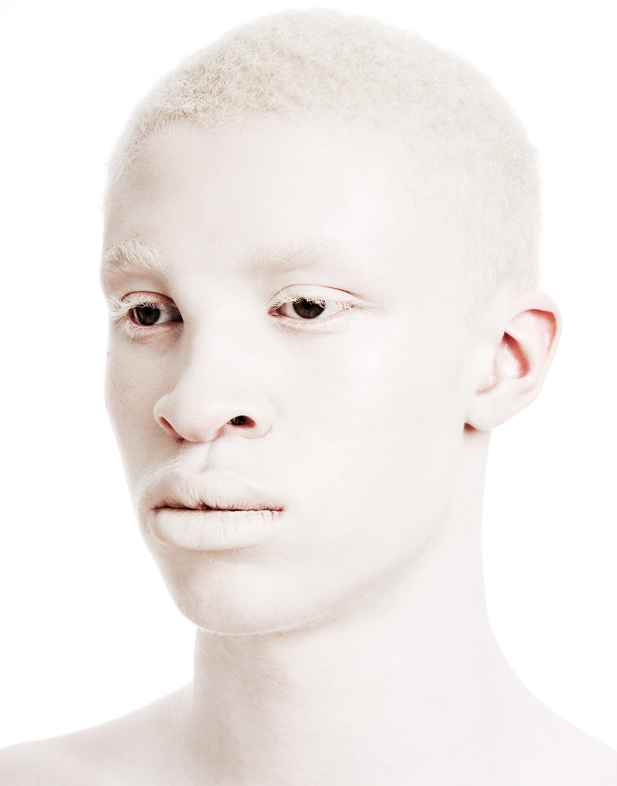 ADeSimone_ShaunRoss.jpg