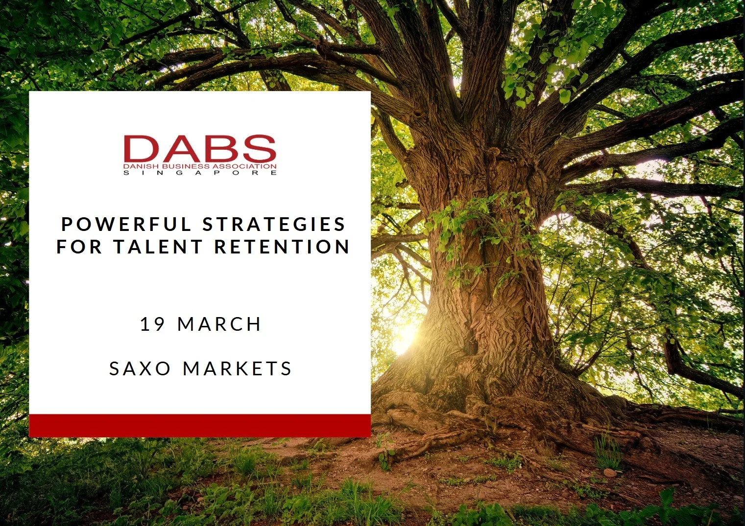 Powerful Strategies for Talent Retention
