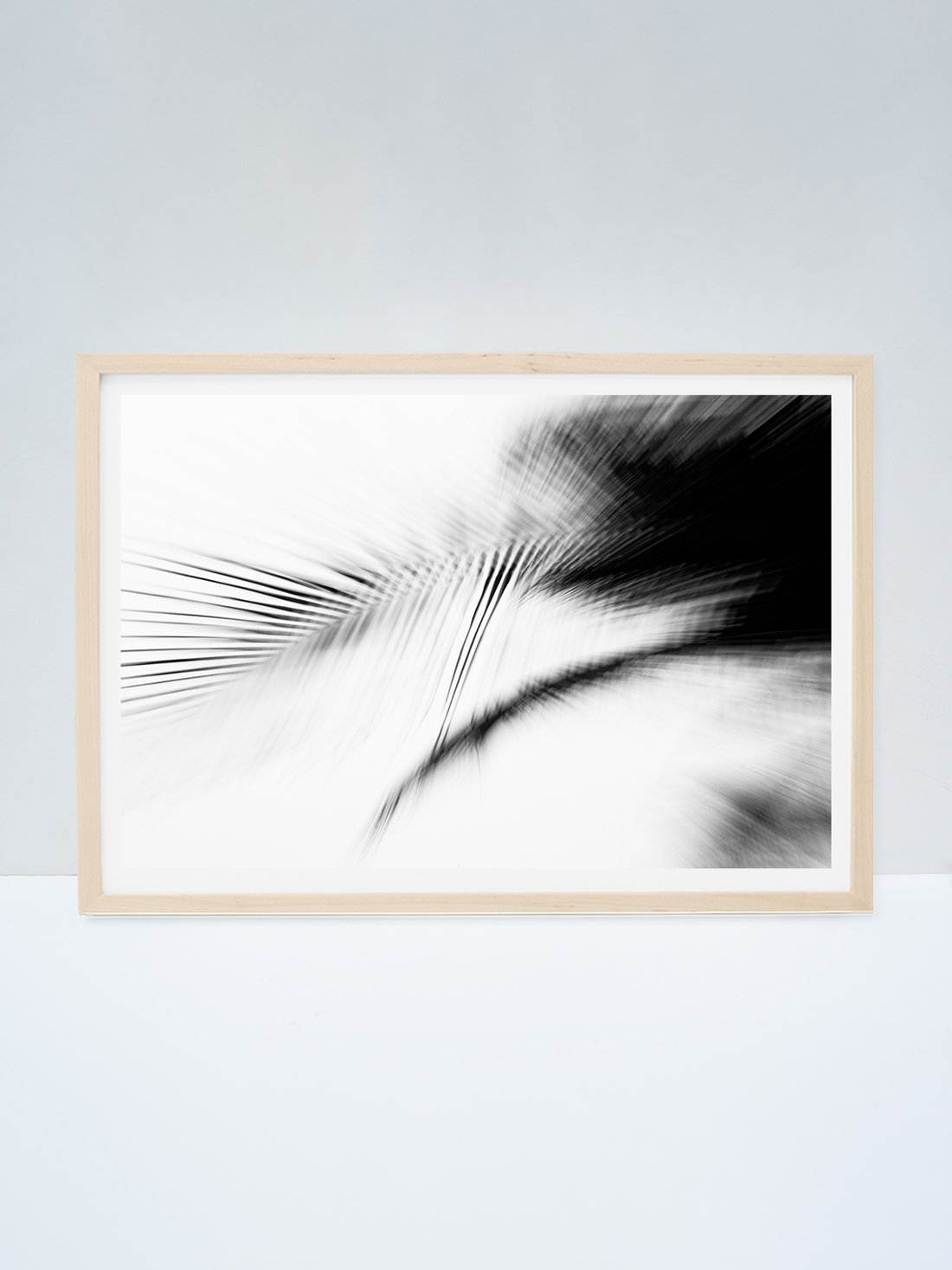 BlurredPalm_NaturalFrame.jpg