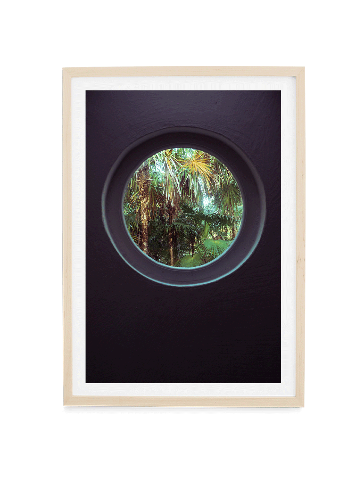 Classics_JungleView_Ntrl_Transp.gif