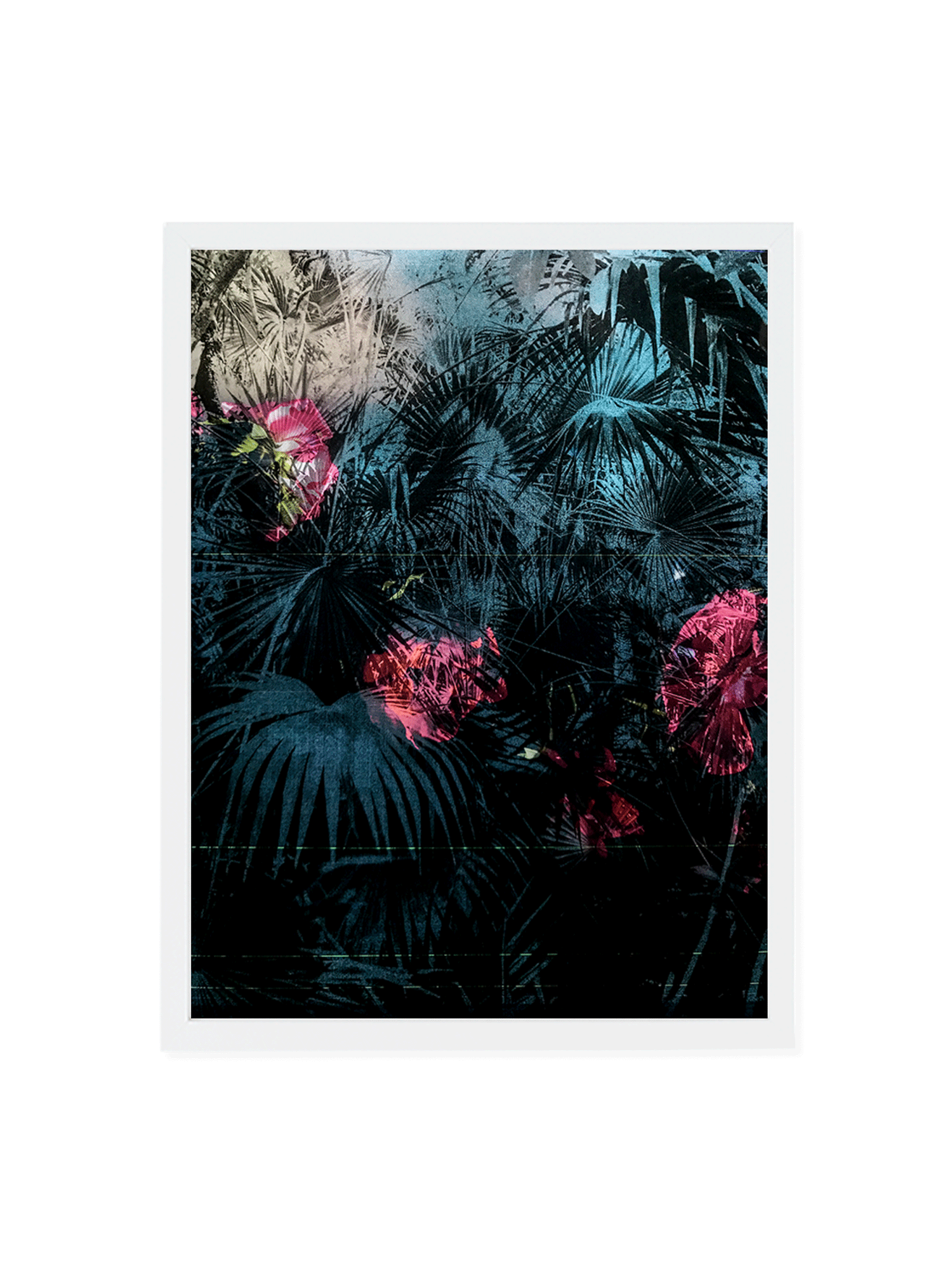 SpecialEdition_RosePalm_White_Transp.gif