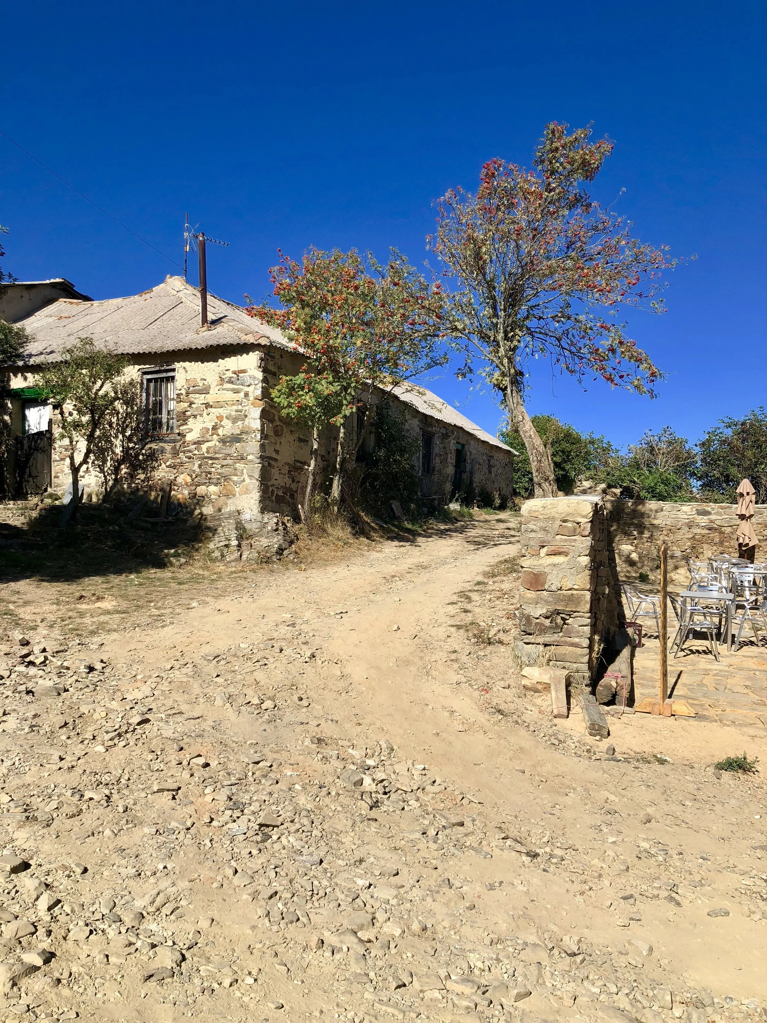 Ups and downs, but mostly ups