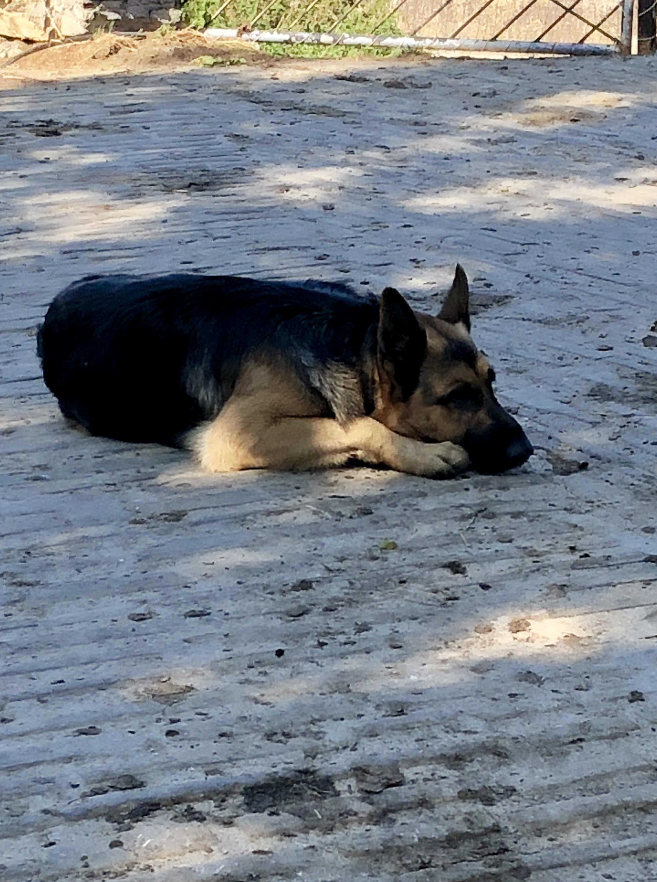 Taking a break